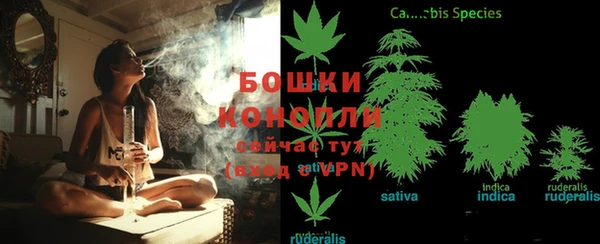 ГАЛЛЮЦИНОГЕННЫЕ ГРИБЫ Вязьма