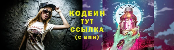 прущие грибы Горнозаводск