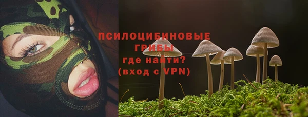 стафф Вязники