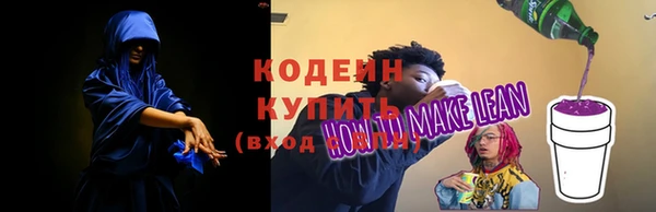 ГАЛЛЮЦИНОГЕННЫЕ ГРИБЫ Вязьма