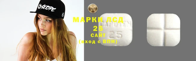 прущие грибы Горнозаводск