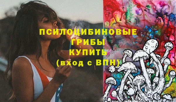 ГАЛЛЮЦИНОГЕННЫЕ ГРИБЫ Вязьма