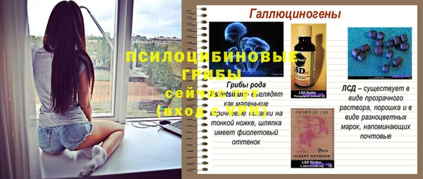 индика Струнино