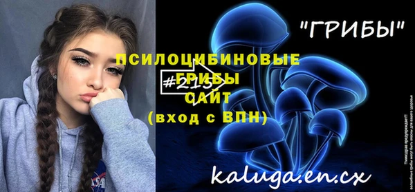 a pvp Вяземский