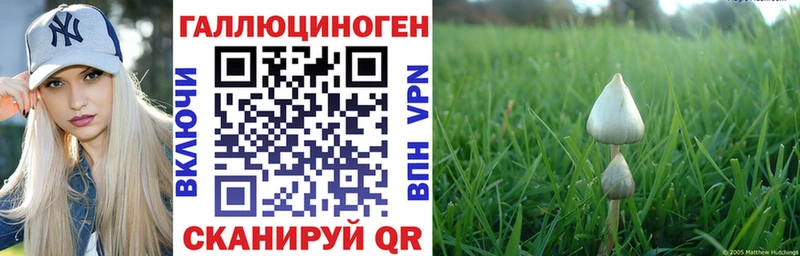 кракен зеркало Дедовск Псилоцибиновые грибы Cubensis